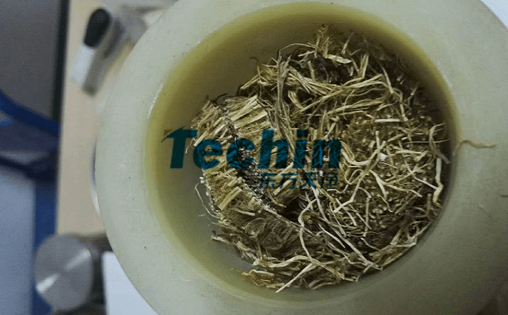 水稻根黄瓜视频黄片下载前