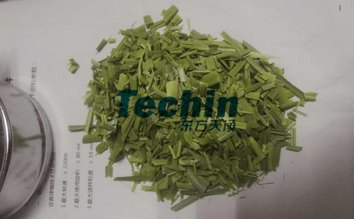 水稻葉子黄瓜视频黄片下载前