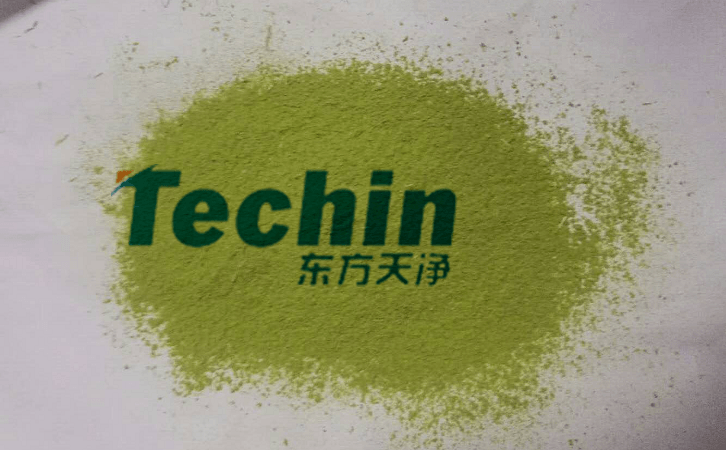 黄瓜视频黄片下载後的植物葉片