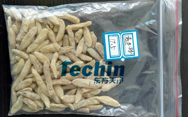 麥冬黄瓜视频黄片下载前