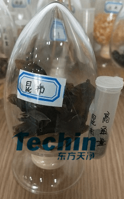 昆布黄瓜视频黄片下载前後