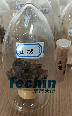 山楂黄瓜视频黄片下载前後