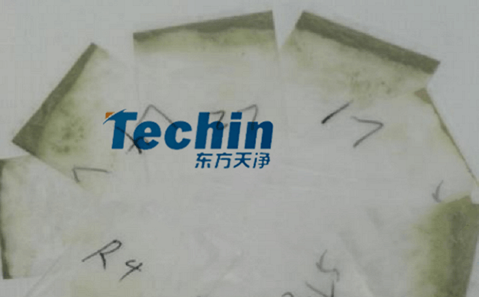 幹黃豆根莖黄瓜视频黄片下载後