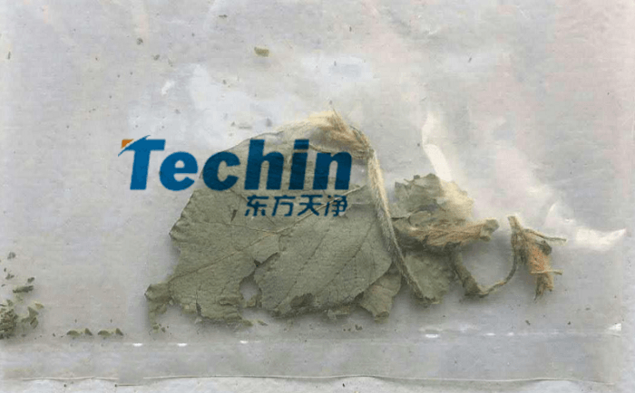 幹黃豆葉黄瓜视频黄片下载前